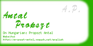 antal propszt business card